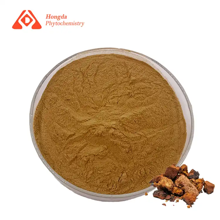 Wild Chaga Extract Powder Wild Chaga Extract Powder